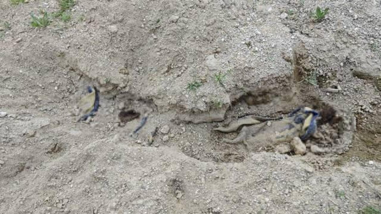 Toprağa gömülü ceset bulunmuştu: Vahşetin detayları ortaya çıktı! Çok sayıda tutuklu var