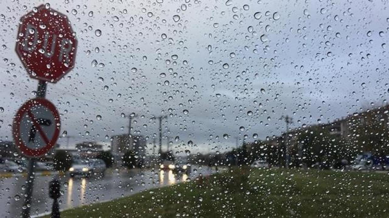 Doğu Karadeniz'de kuvvetli yağış bekleniyor