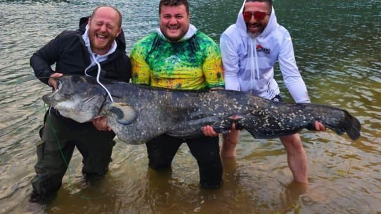 Baraj g&ouml;l&uuml;nde 100'er kilo ağırlığında 2 yayın balığı yakaladılar