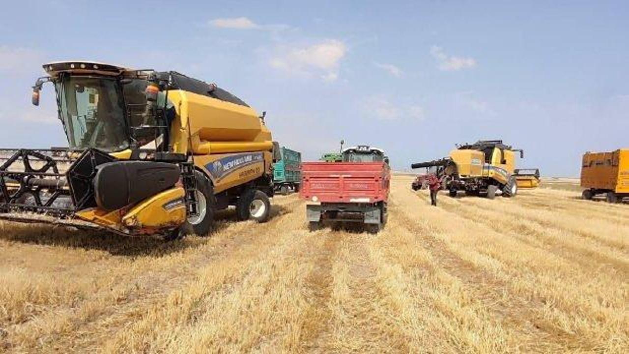 Çiftçilere yaklaşık 345 milyon lira tarımsal destekleme ödemesi yapılacak