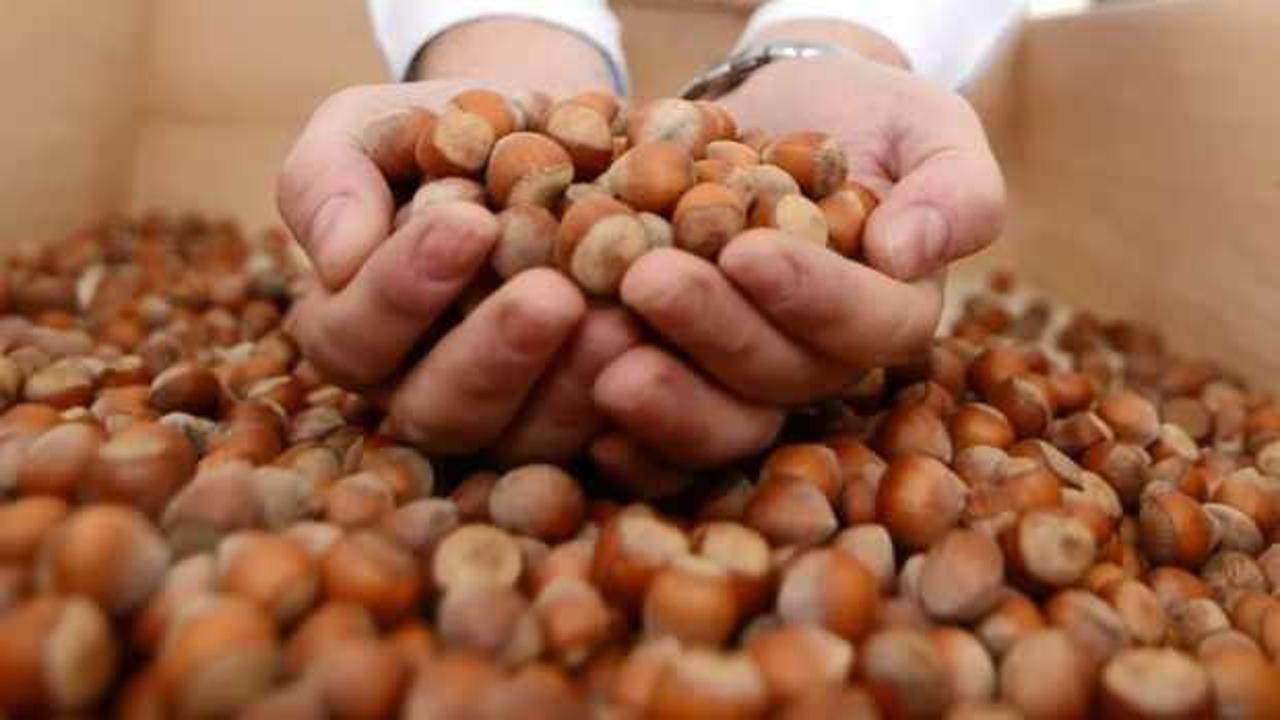 Fındık ihracatı 10 ayda 2,3 milyar dolar kazandırdı