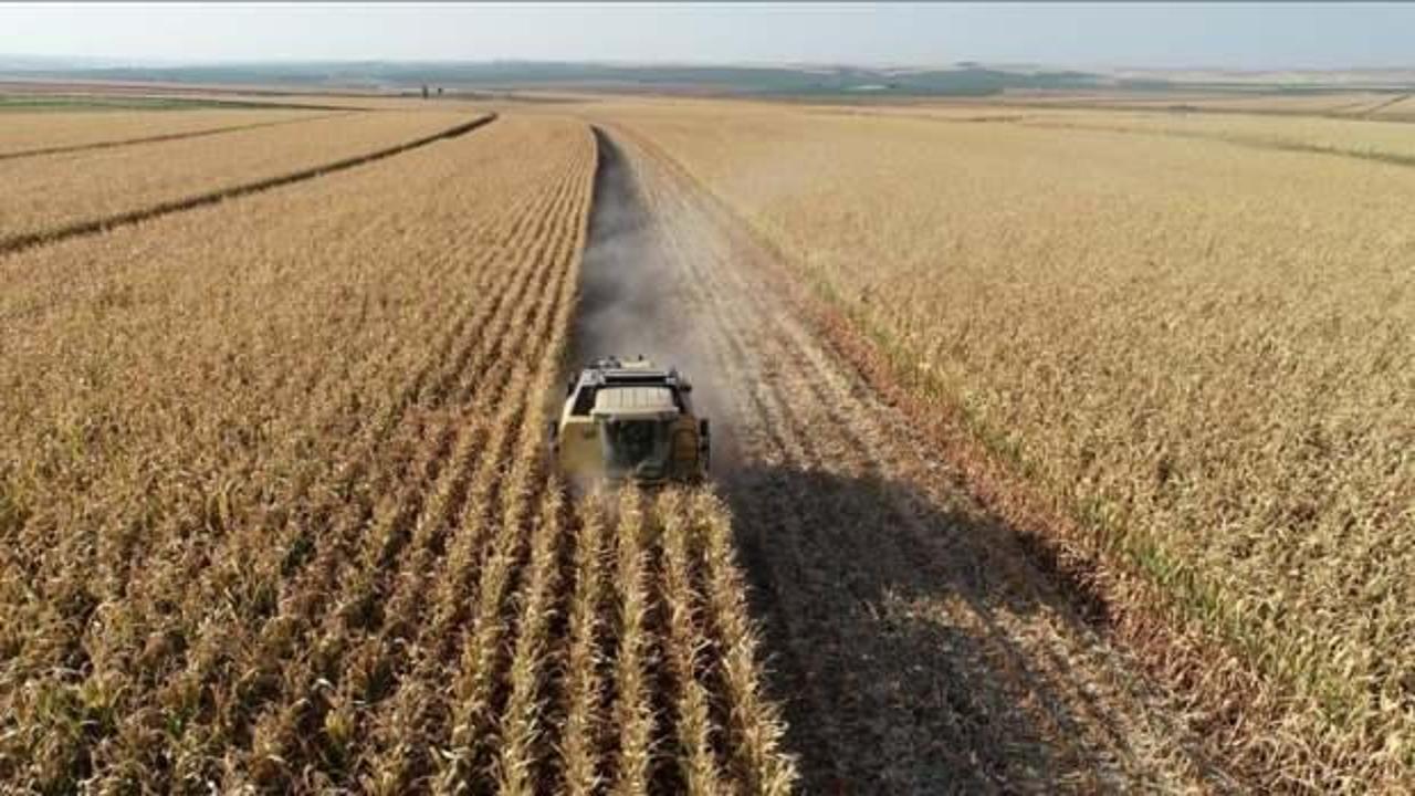IPARD III Programı kapsamında bugüne kadar 343 milyon avroluk destek ilanına çıkıldı