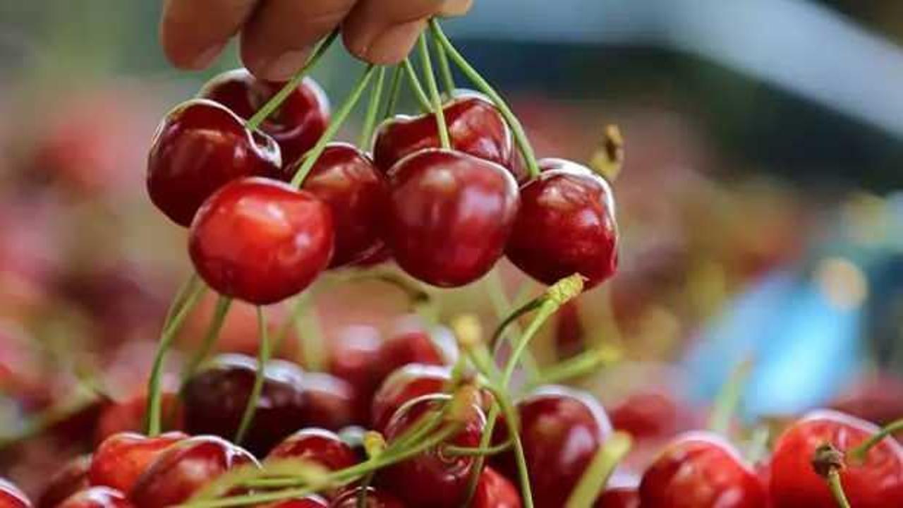 İstanbul'da haziran ayının zam şampiyonu kiraz oldu