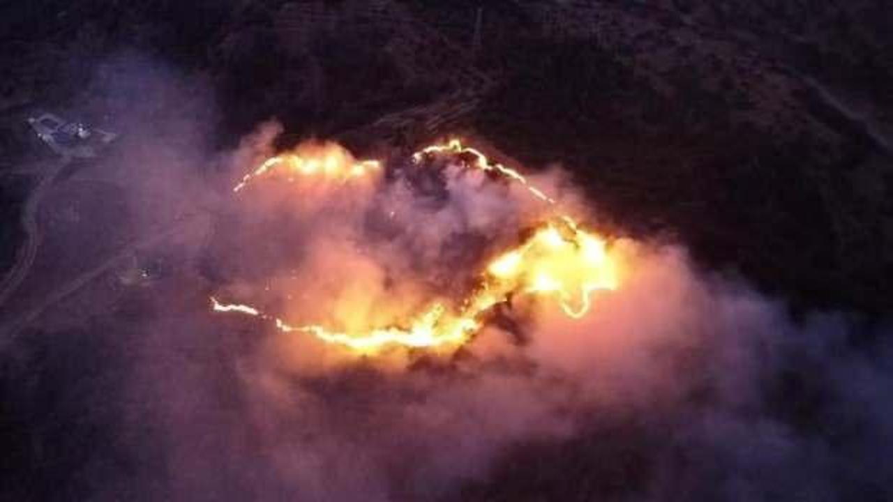 Keneyi yakmak isterken ormanı yaktı