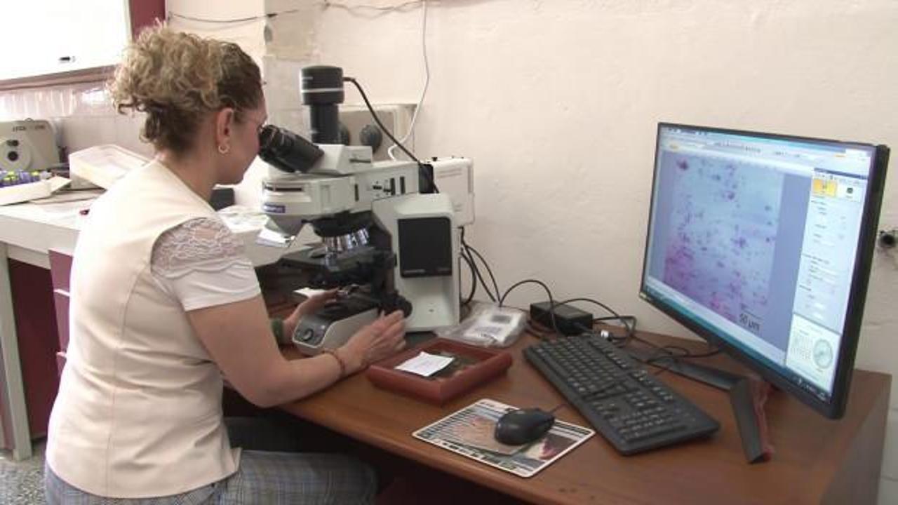 Kısır ineklerin gebe kalmasını sağlayan besin, çocuğu olmayan çiftlere umut oldu 