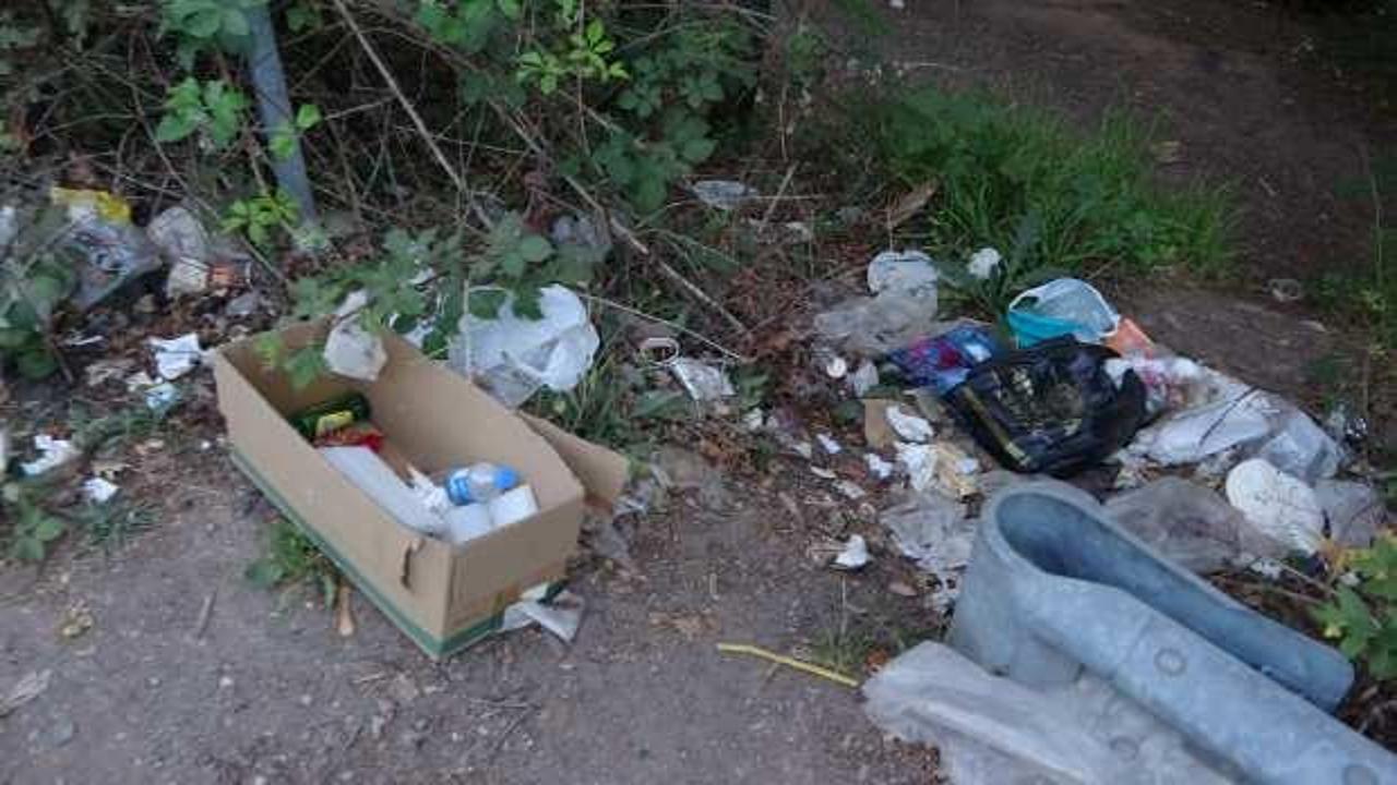 Şile'de rezil g&ouml;r&uuml;nt&uuml;: Poşet poşet &ccedil;&ouml;pleri doğaya atmışlar!