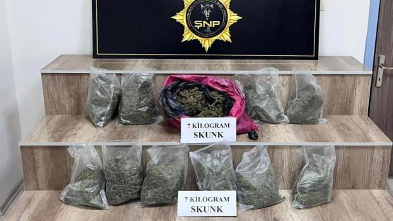 Siverek’te 7 kilo skunk ele geçirildi, 3 gözaltı