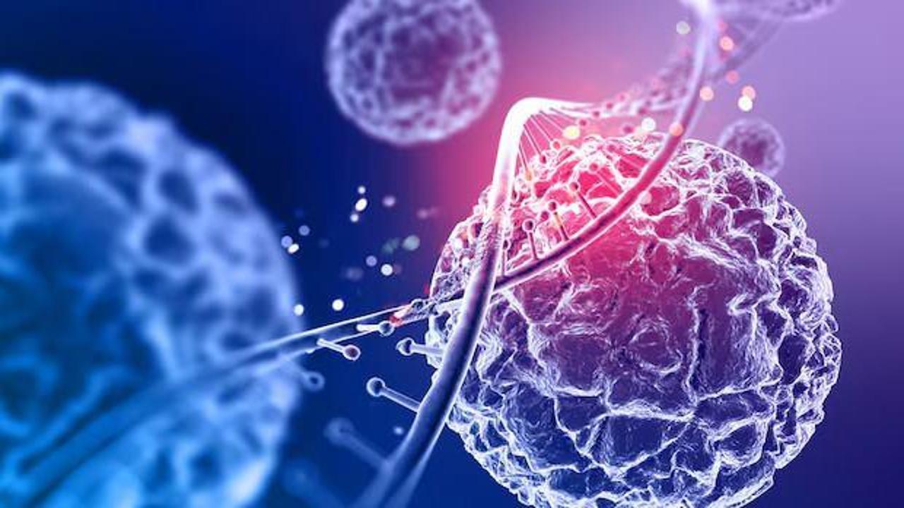 37 bin yıllık DNA'dan şok bulgular: Salgın hastalıkların nereden geldiği ortaya çıktı
