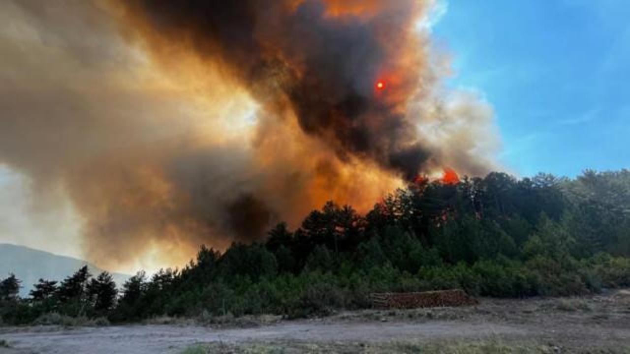 3 ilde orman yangını! M&uuml;dahale s&uuml;r&uuml;yor