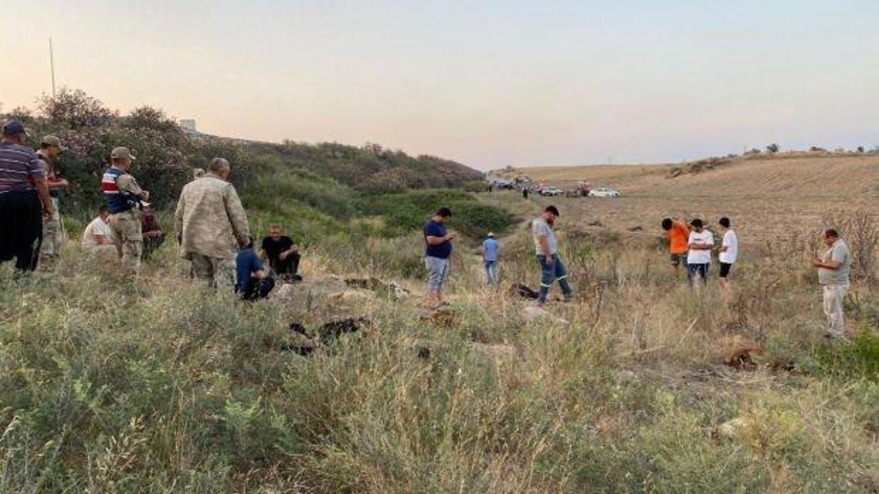 Bu dere ölüm saçıyor! 100'den fazla hayvan telef oldu