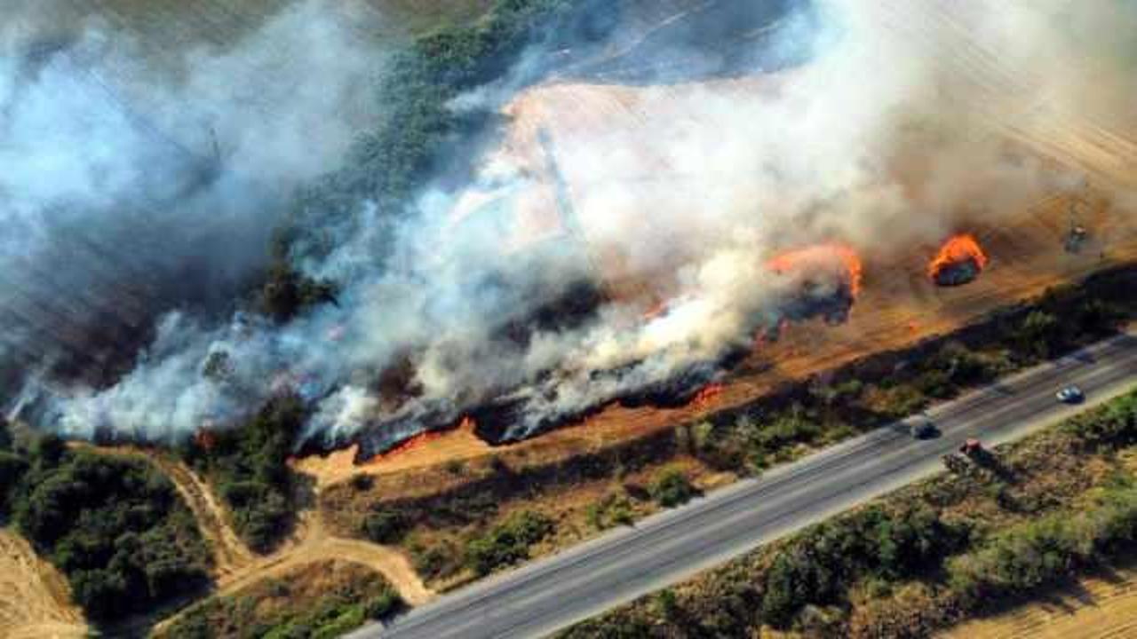 Edirne’de anız yangını kontrol altında