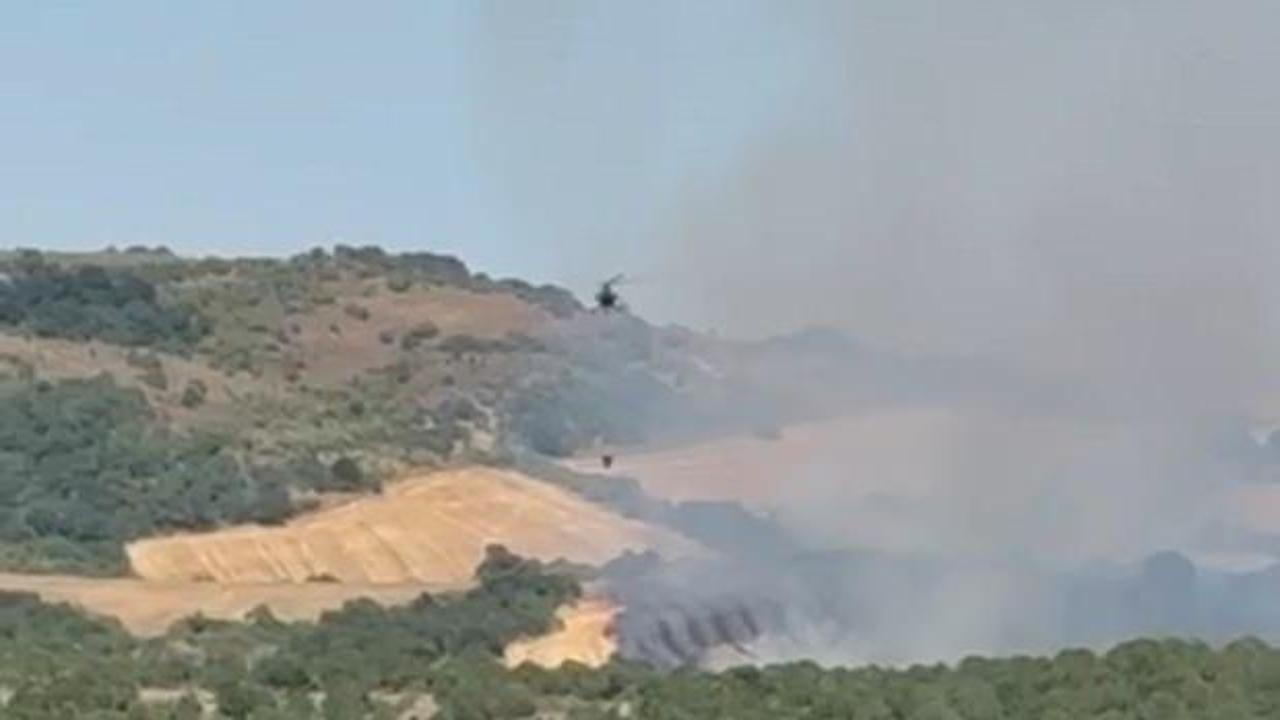 Manyas'ta yangın: Mücadele sürüyor!