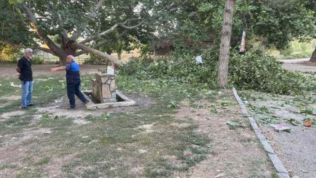 Ağacın dalı vatandaşların &uuml;zerine devrildi: &Ccedil;ok sayıda yaralı var