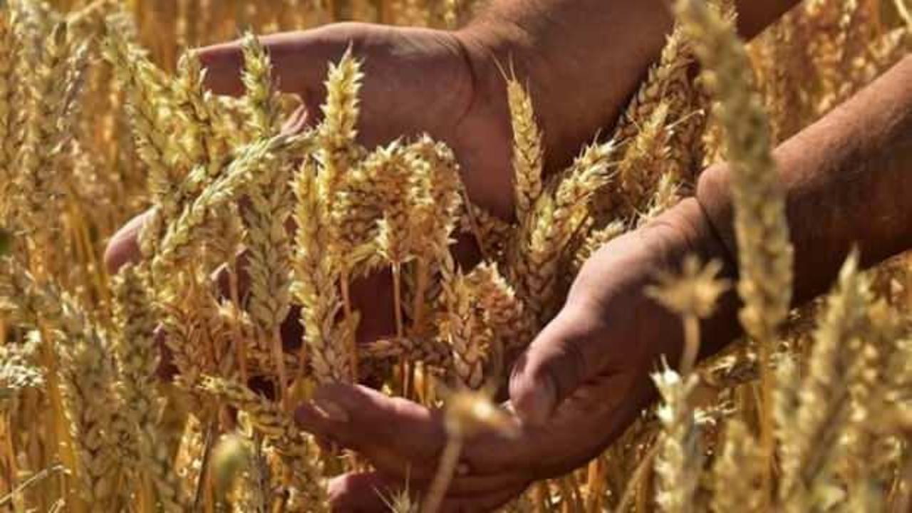 Dünyanın en eski mesleği ortaya çıktı! Bakın o meslek neymiş