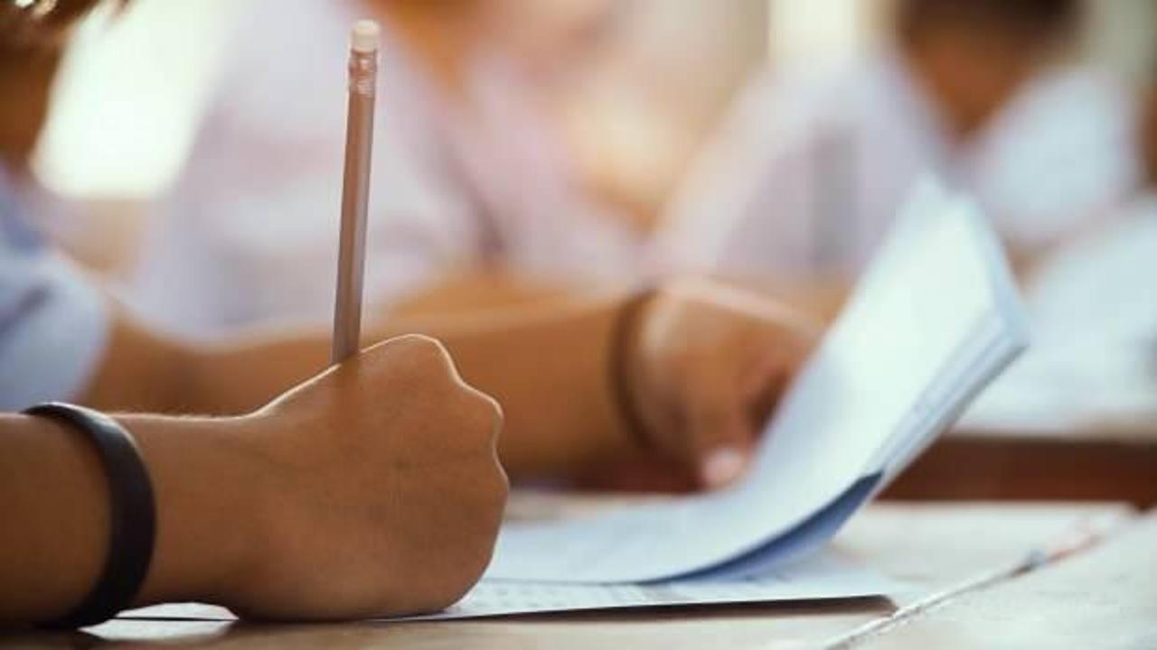 2025 ALES/2 sınav sonuçları açıklandı! İşte sonuç görüntüleme ekranı
