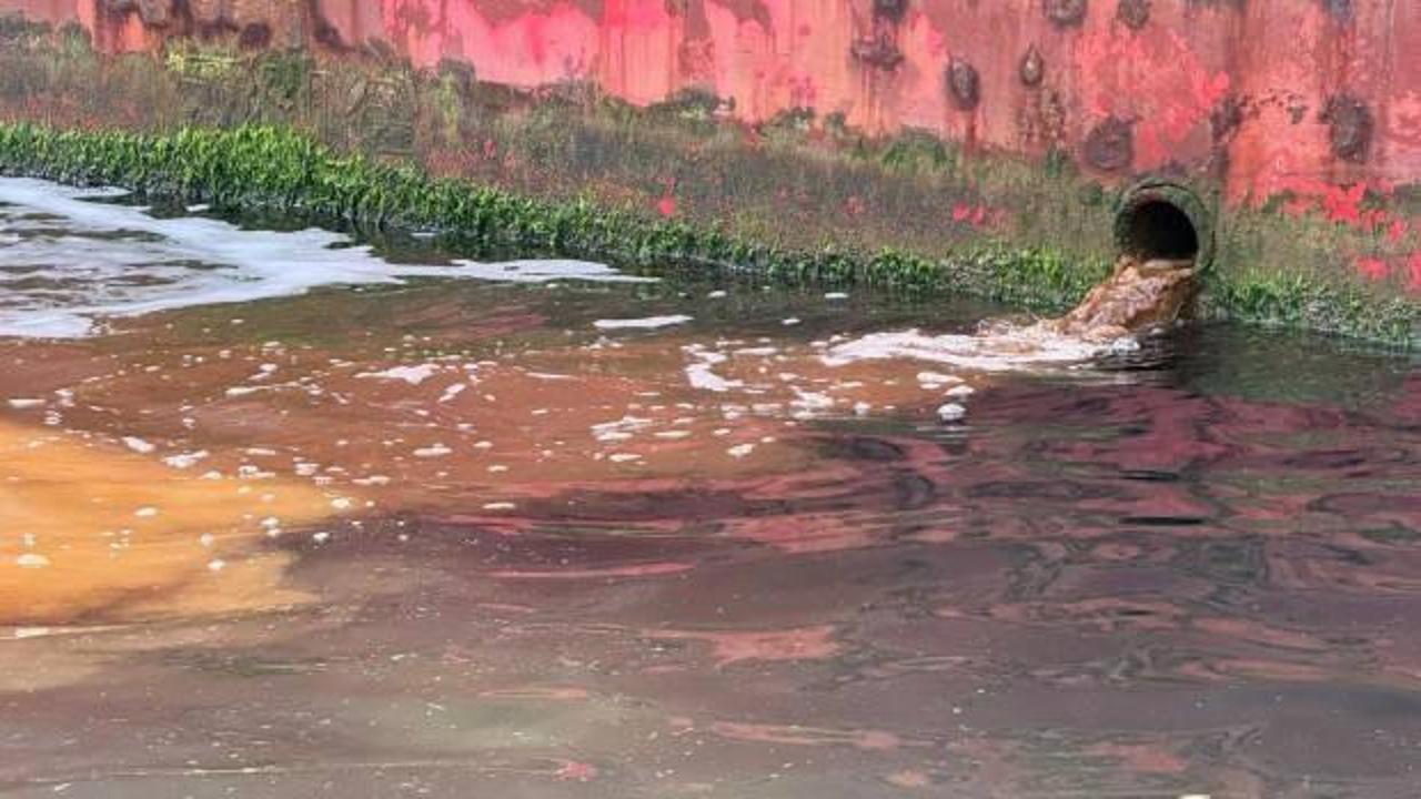 Marmara'yı kirletmişti! 3 milyon 739 bin lira ceza kesildi!