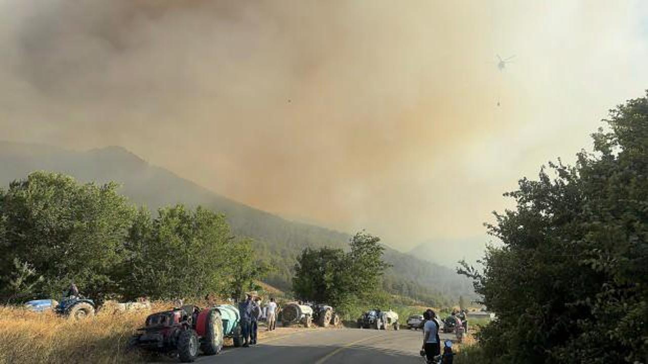 Sakarya'daki orman yangını yayılıyor! Bir mahalle tahliye edildi