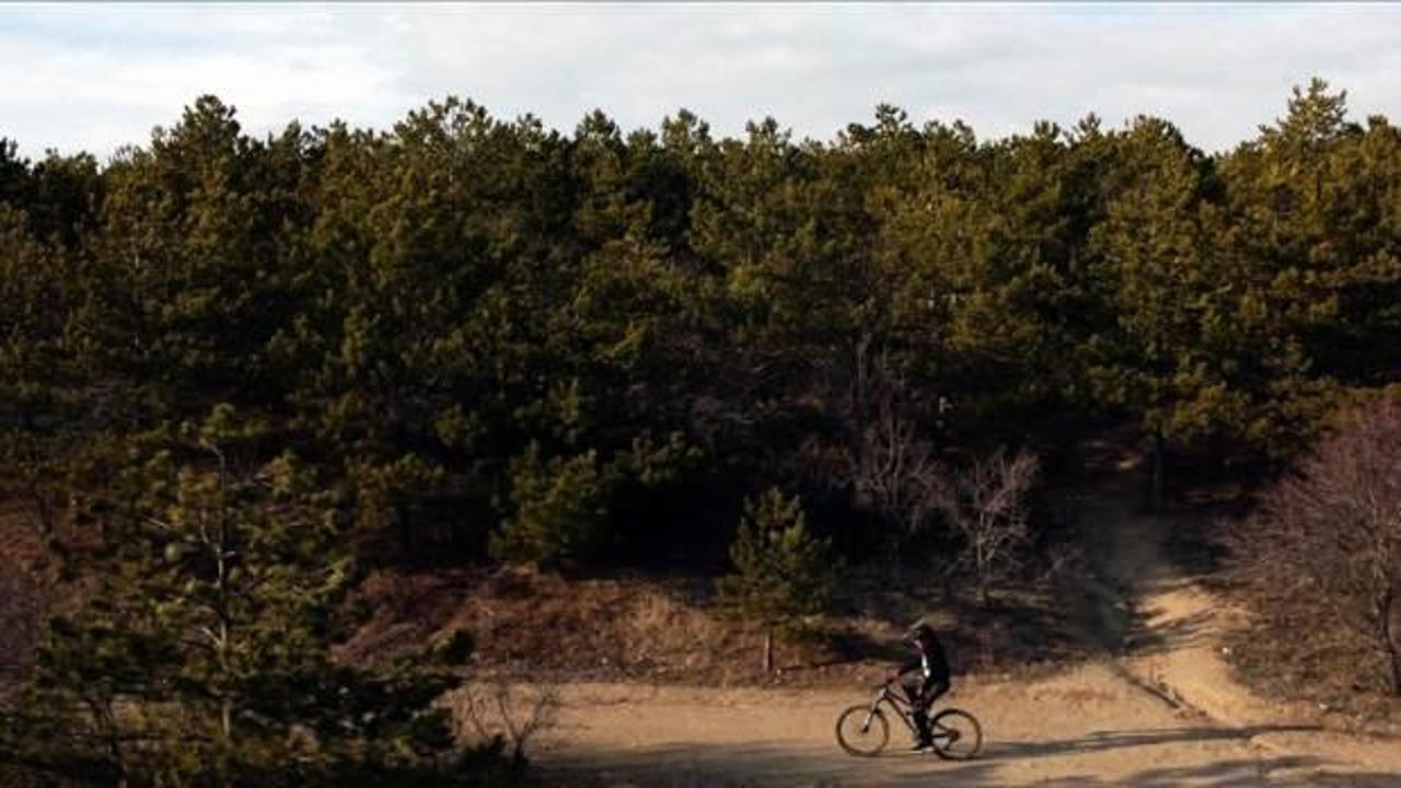 Ankara'da mangal ve piknik ateşi yakma yasağı uzatıldı