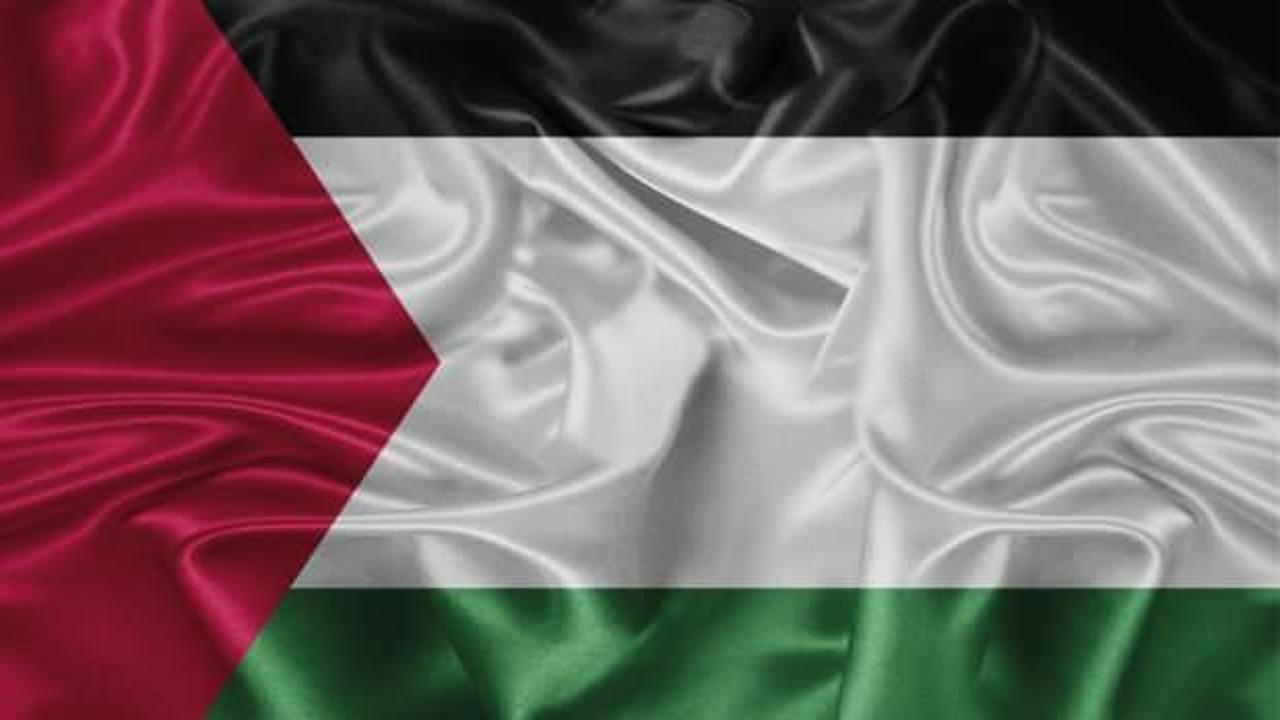 Arap &uuml;lkeleri Fransa'nın Filistin'i tanıma kararından memnun 