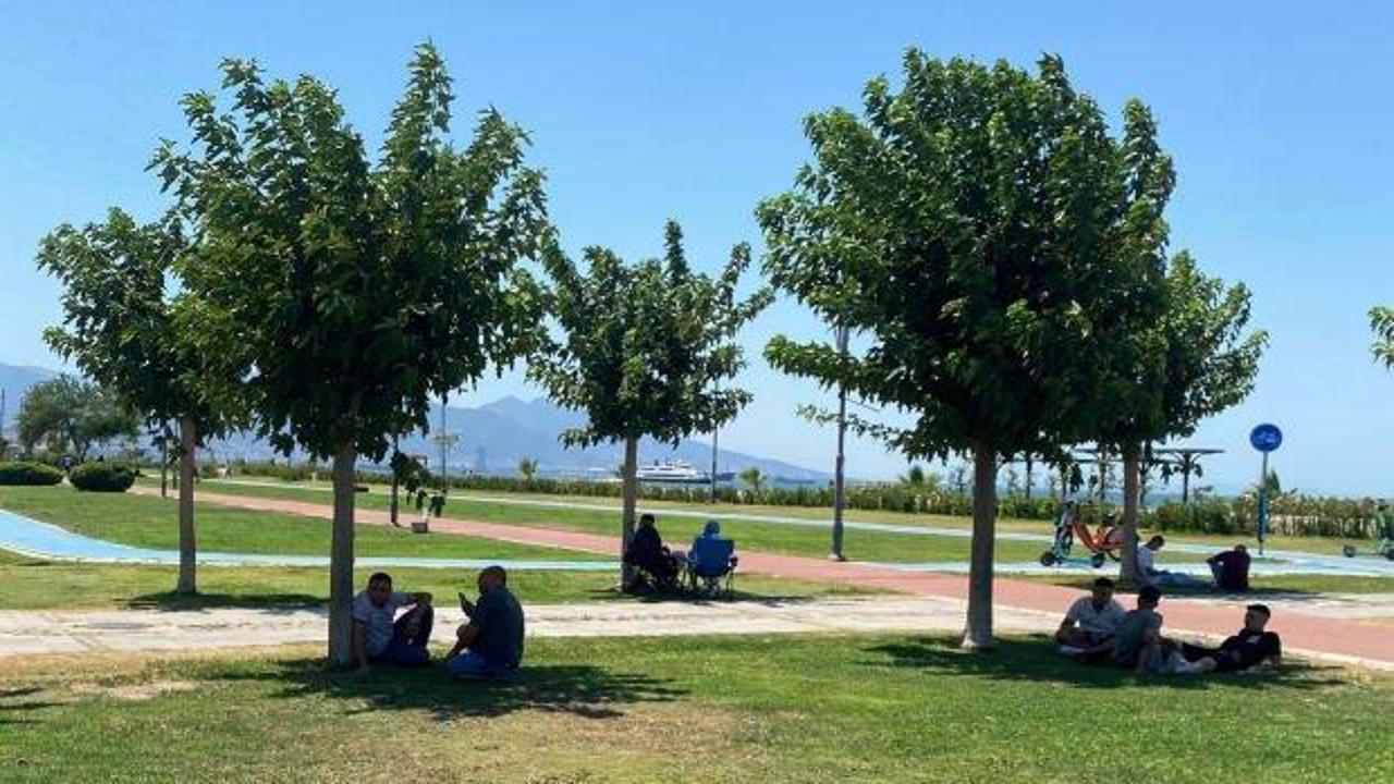 Bir ilde sıcaklık rekoru kırıldı! 43,4'i gördü!