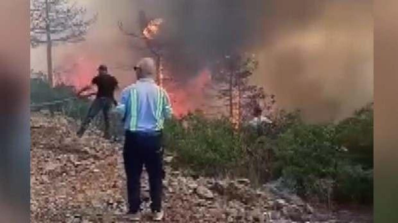 Bursa'da orman yangını