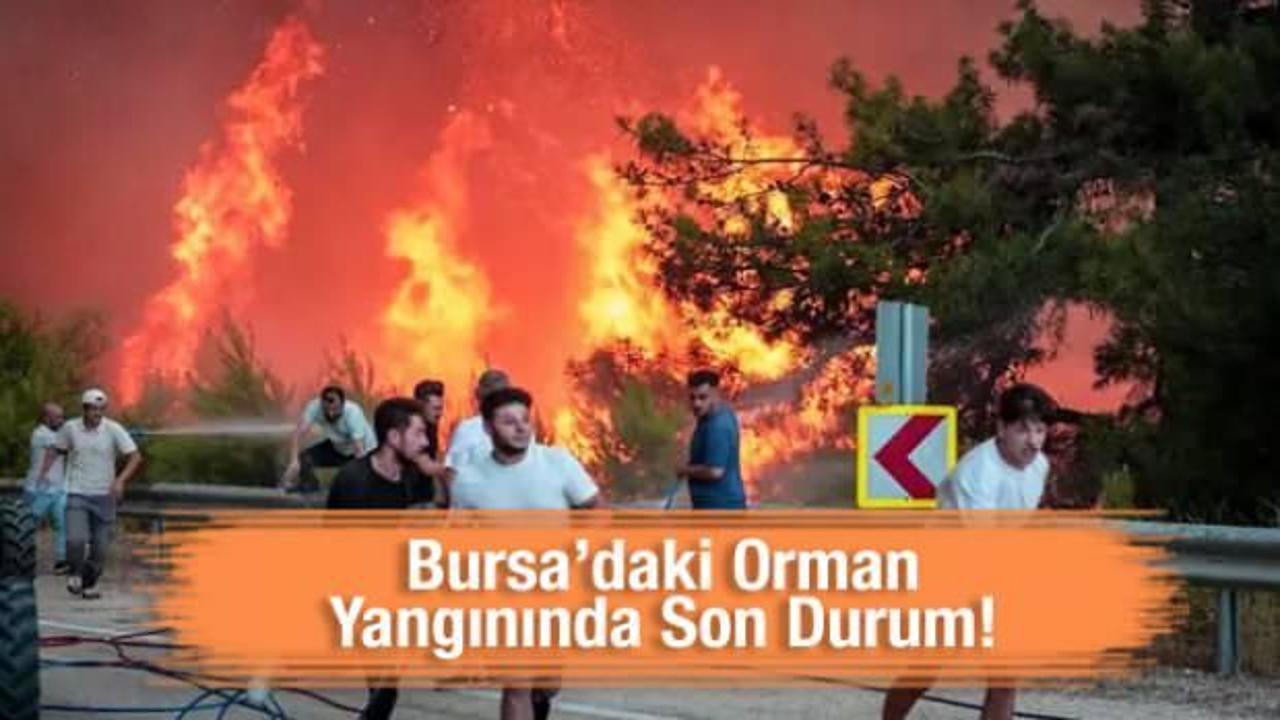 Bursa'daki orman yangınında son durum! 3 köy tahliye edildi, hasar gün ağarınca ortaya çıktı