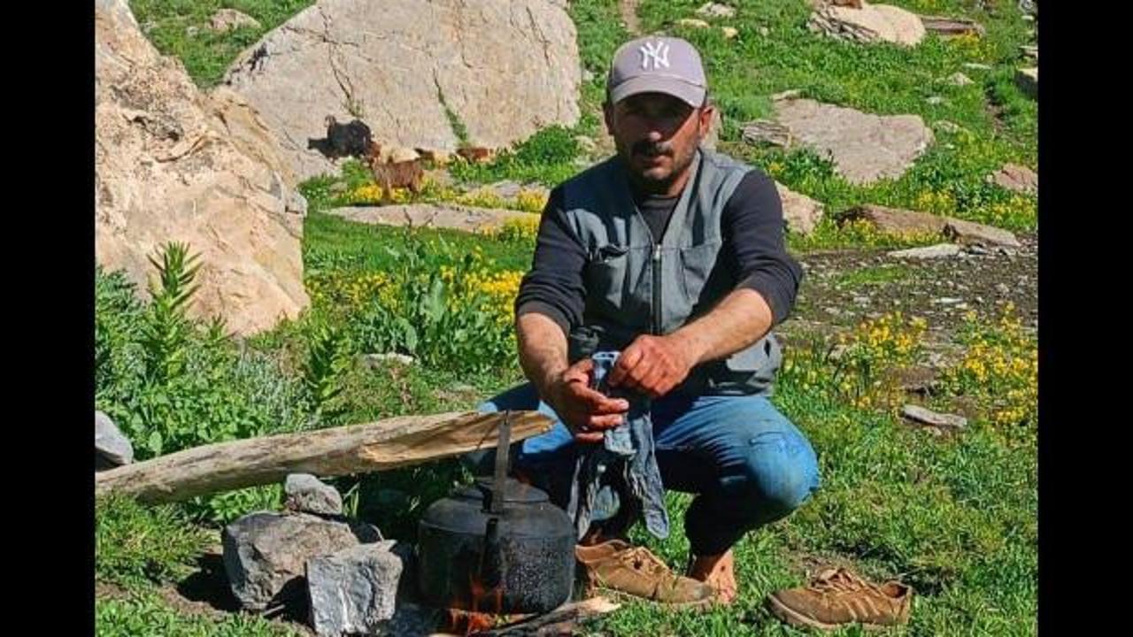 Koyun otlamak i&ccedil;in yaylaya &ccedil;ıkmıştı: &Ccedil;obanın acı &ouml;l&uuml;m&uuml;