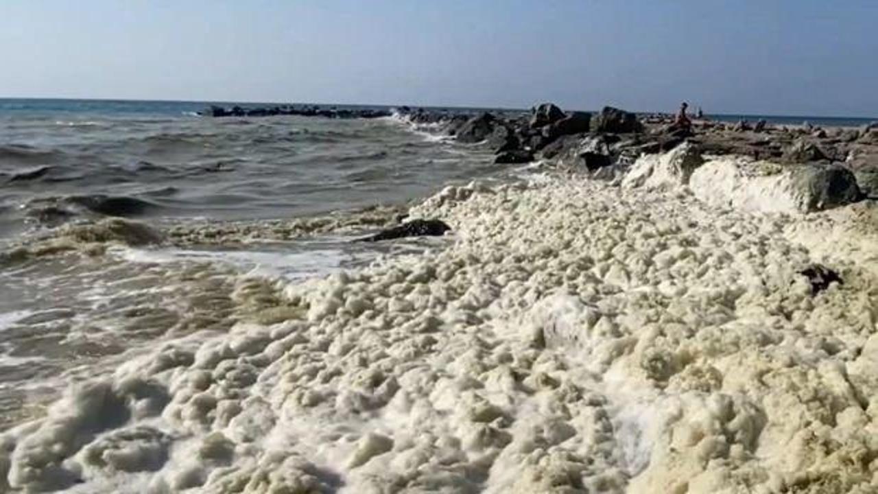 Deniz kenarında korkutan görüntü: Tüm yüzeyi kapladı, halk tedirgin!