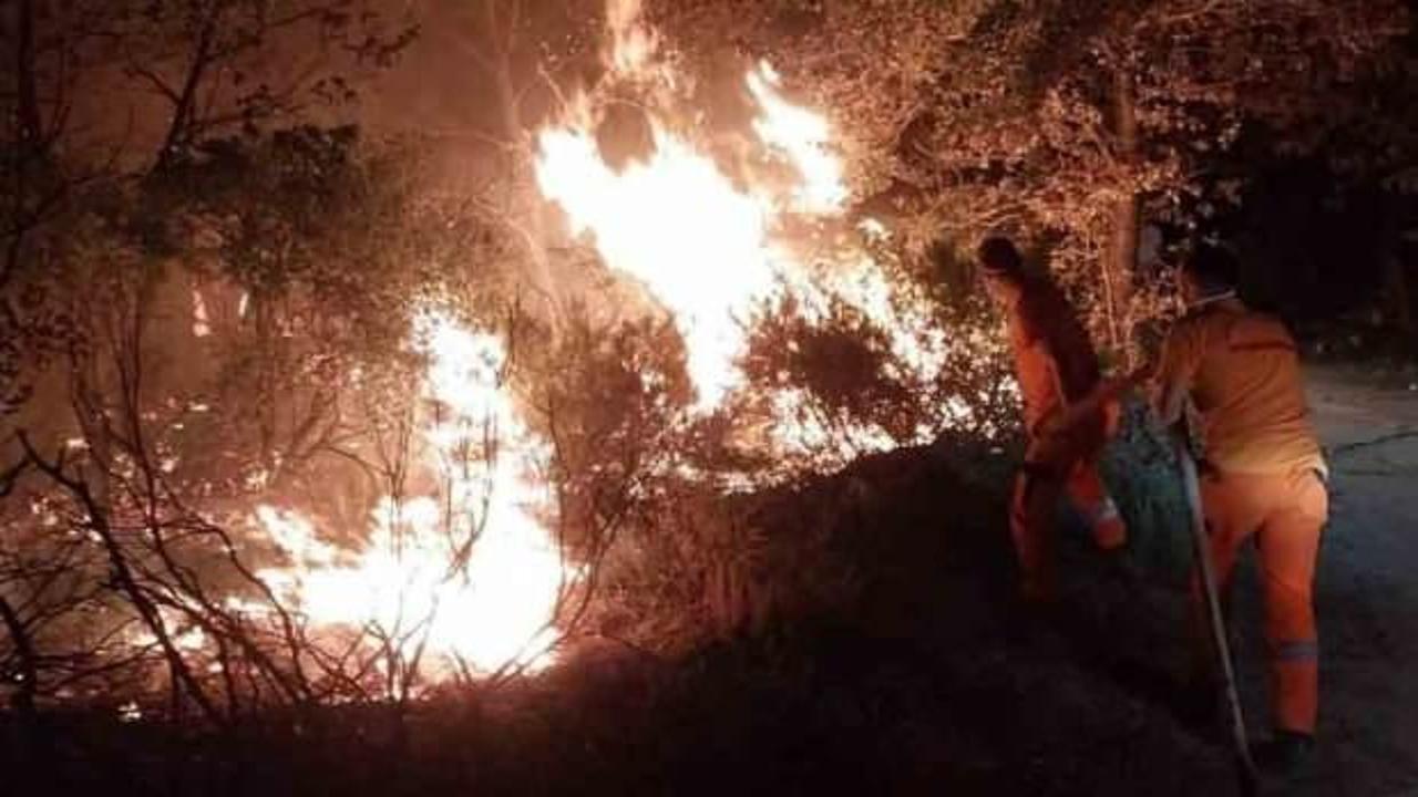 Gebze'de orman yangını 3 saatte s&ouml;nd&uuml;r&uuml;ld&uuml;