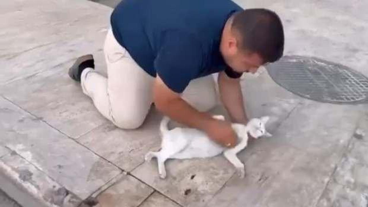 Kediyi, suni teneffüs ve kalp mesajı ile kurtarmaya çalıştı
