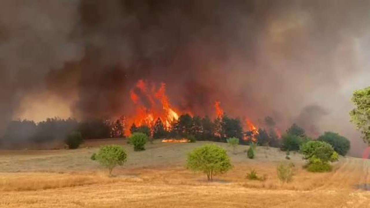 Safranbolu'da orman yangını