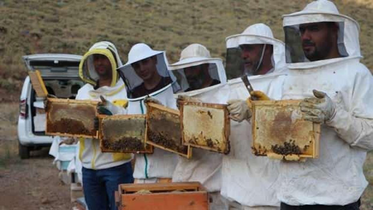 Avrupa Birliği'nden tescilli Bing&ouml;l balında sağım başladı