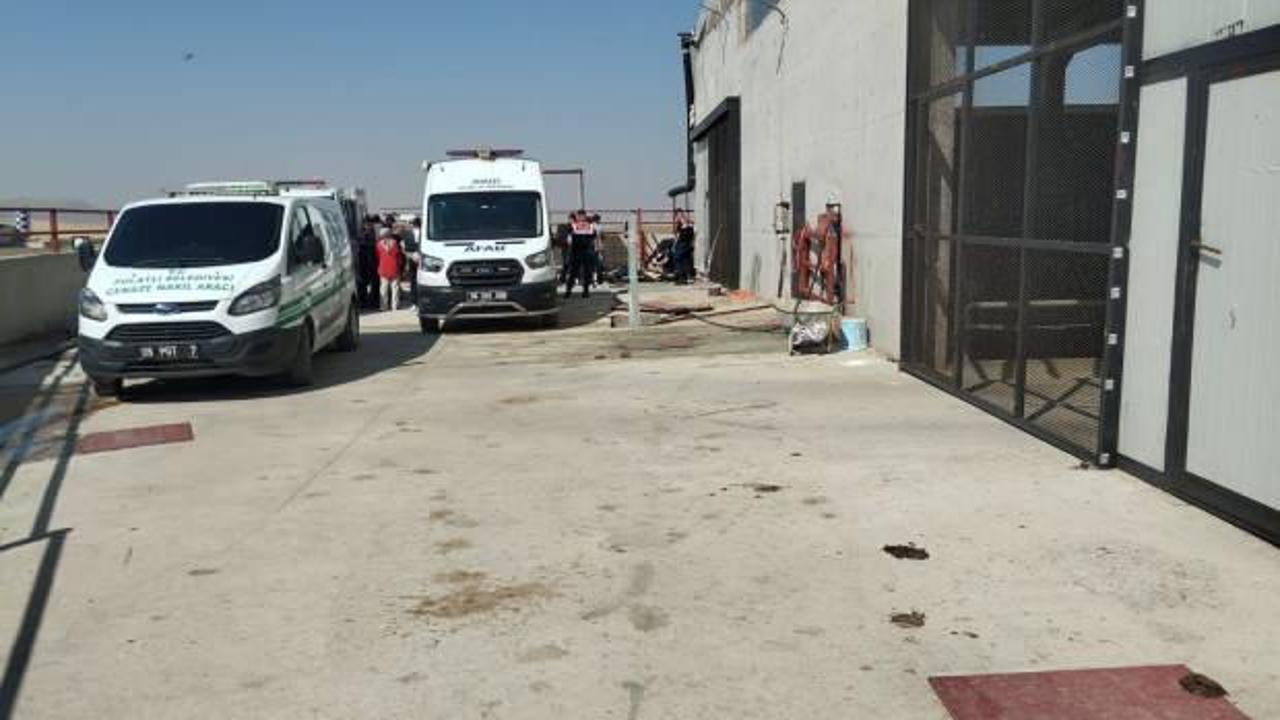 Besi çiftliğinde metan gazı faciası: 2 kişi öldü!