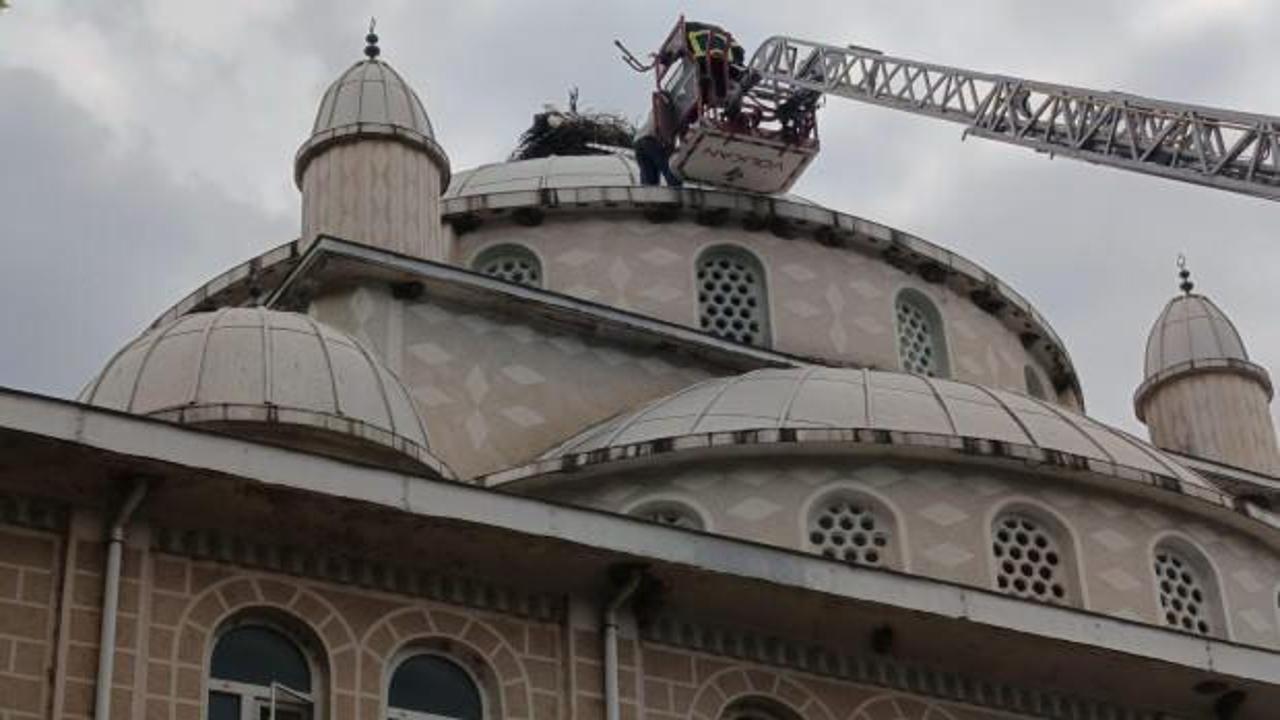 Cami kubbesinde ayağı sıkışan leylek kurtarıldı