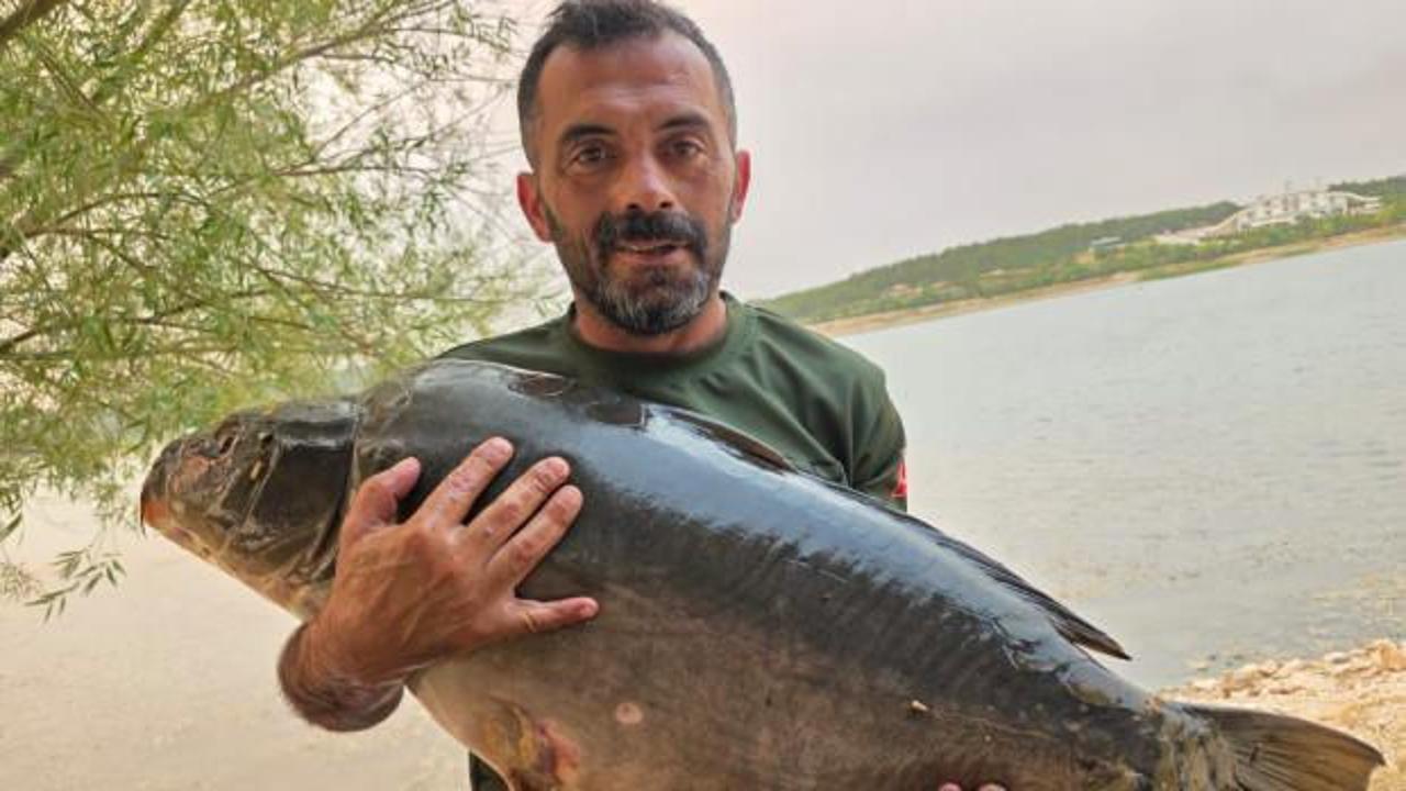 Devasa balığı oltayla yakaladı, kendisi bile kilosuna inanamadı