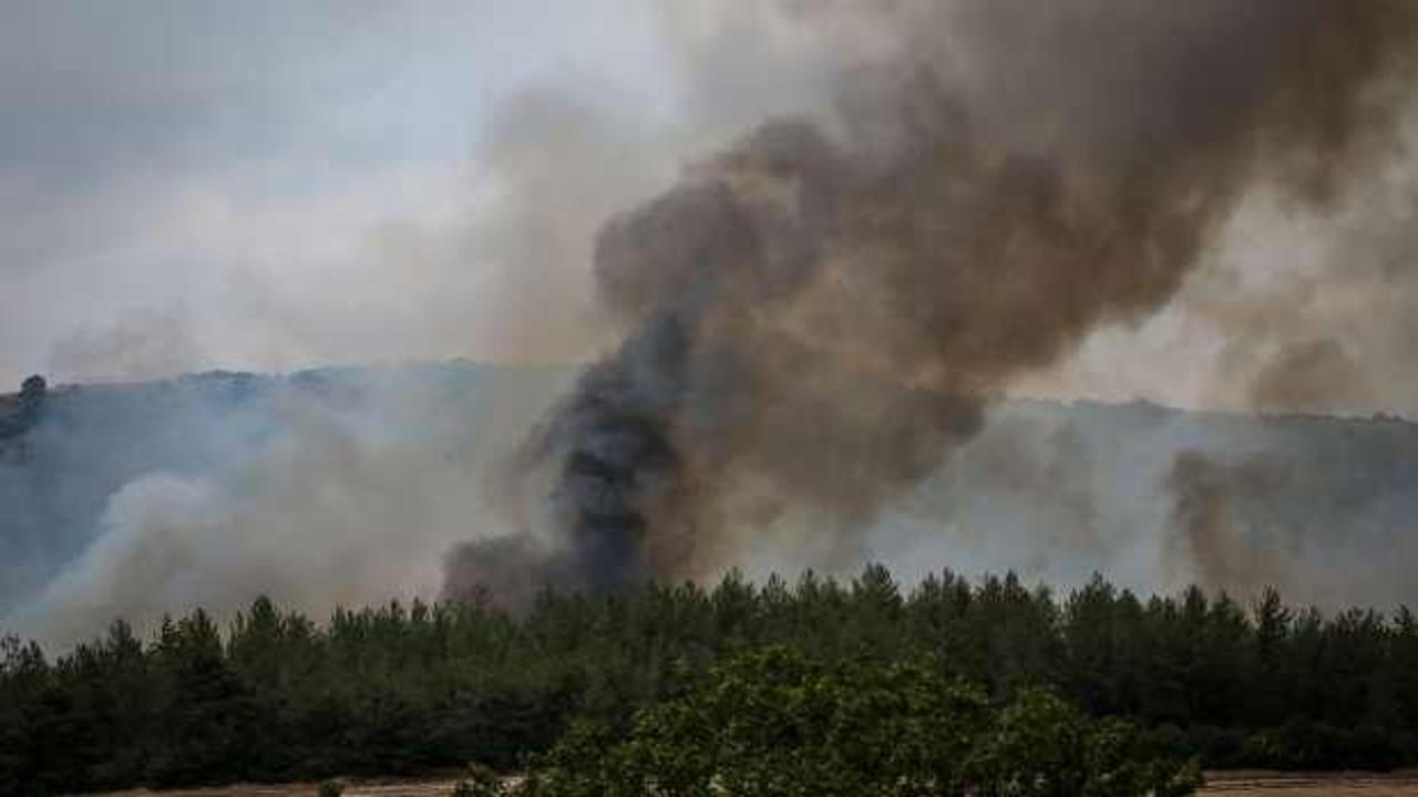 İki ilde orman yangını: Müdahale sürüyor!