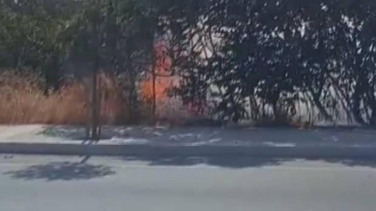 Silivri'de otluk alandaki yangın büyümeden söndürüldü
