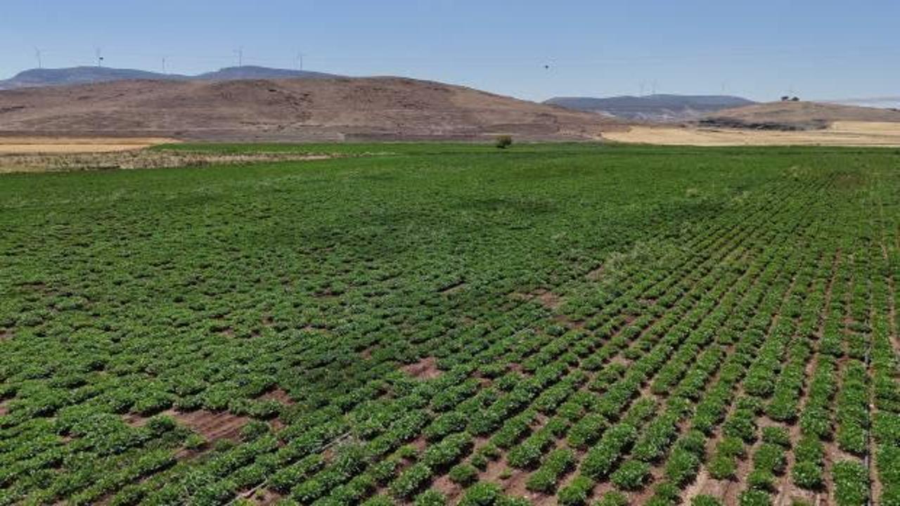 ​Gaziantep Büyükşehir, akıllı sulama sistemlerini iki ilçede hayata geçirdi 