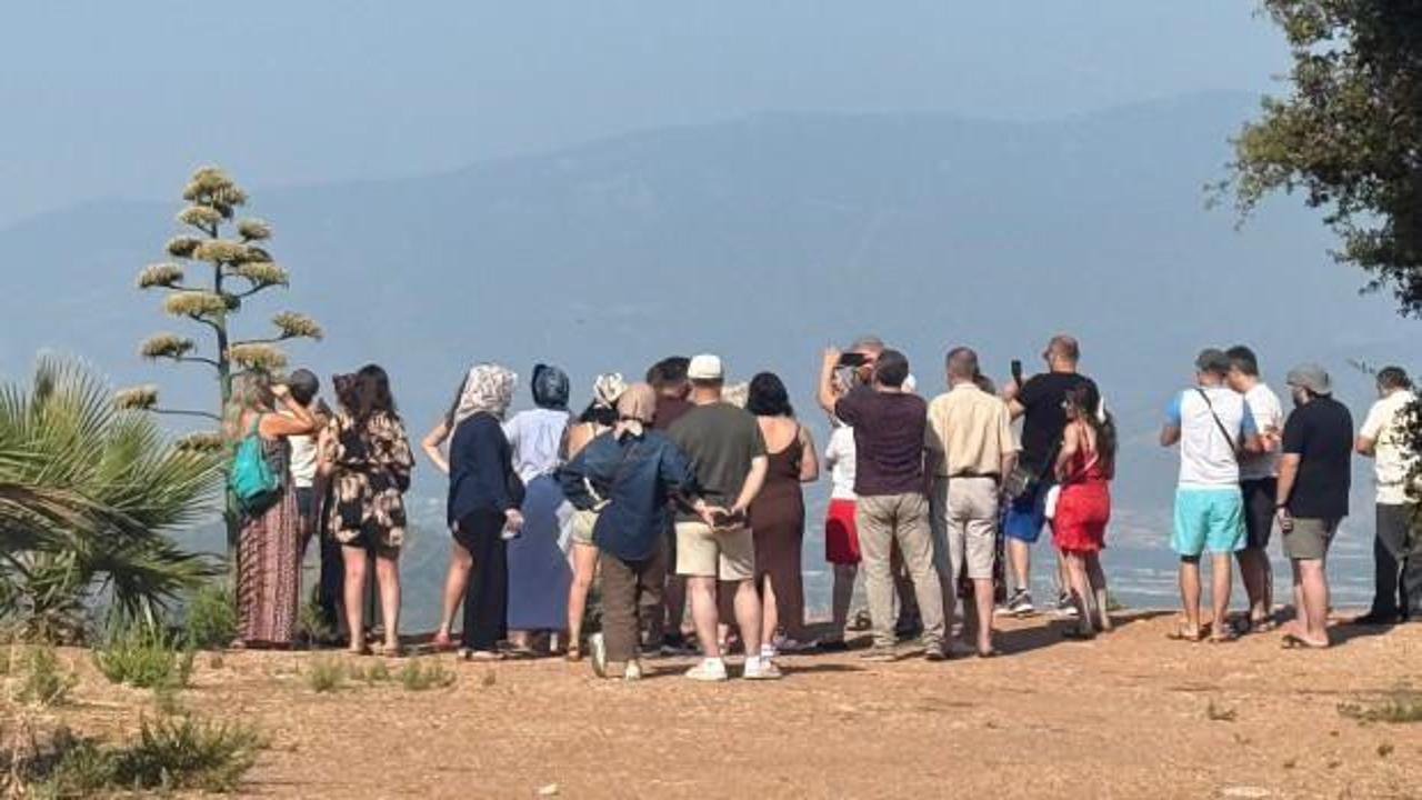 Antalya'da 30 yıl sonra ortaya çıktı! Turist akınına uğradı