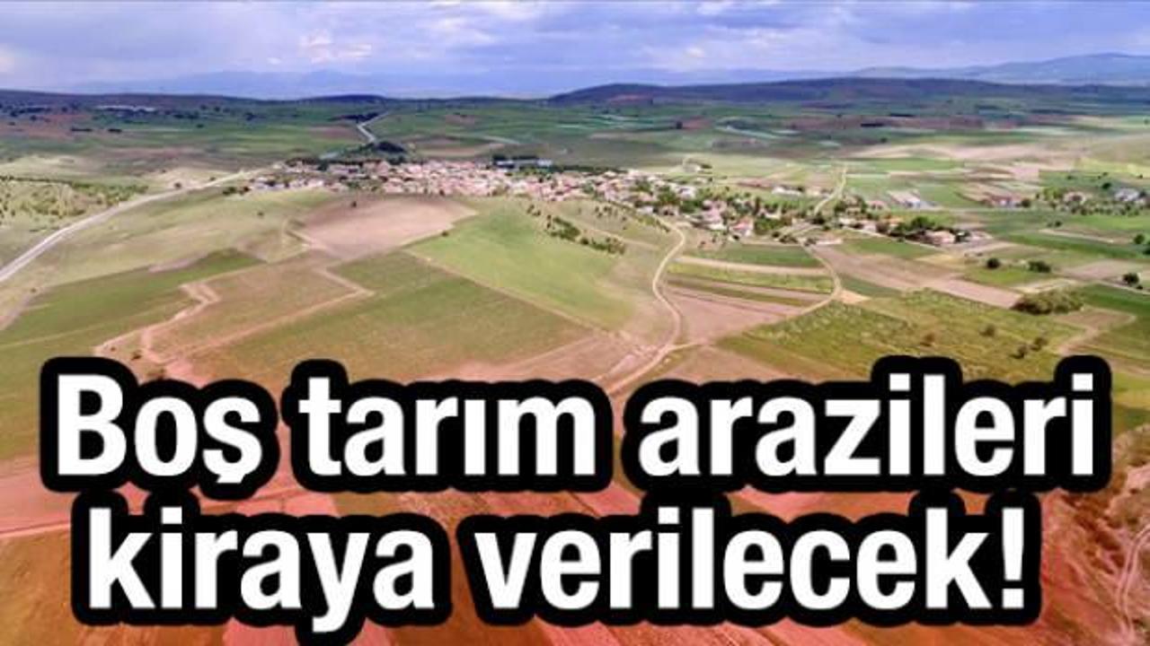 Bakanlık duyurdu: Boş tarım arazileri kiraya verilecek! Eylül'de yürürlüğe girecek