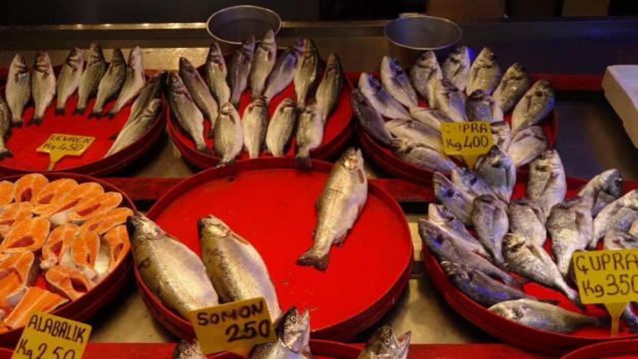 Balık&ccedil;ıların g&ouml;z&uuml; bu sezon hamside