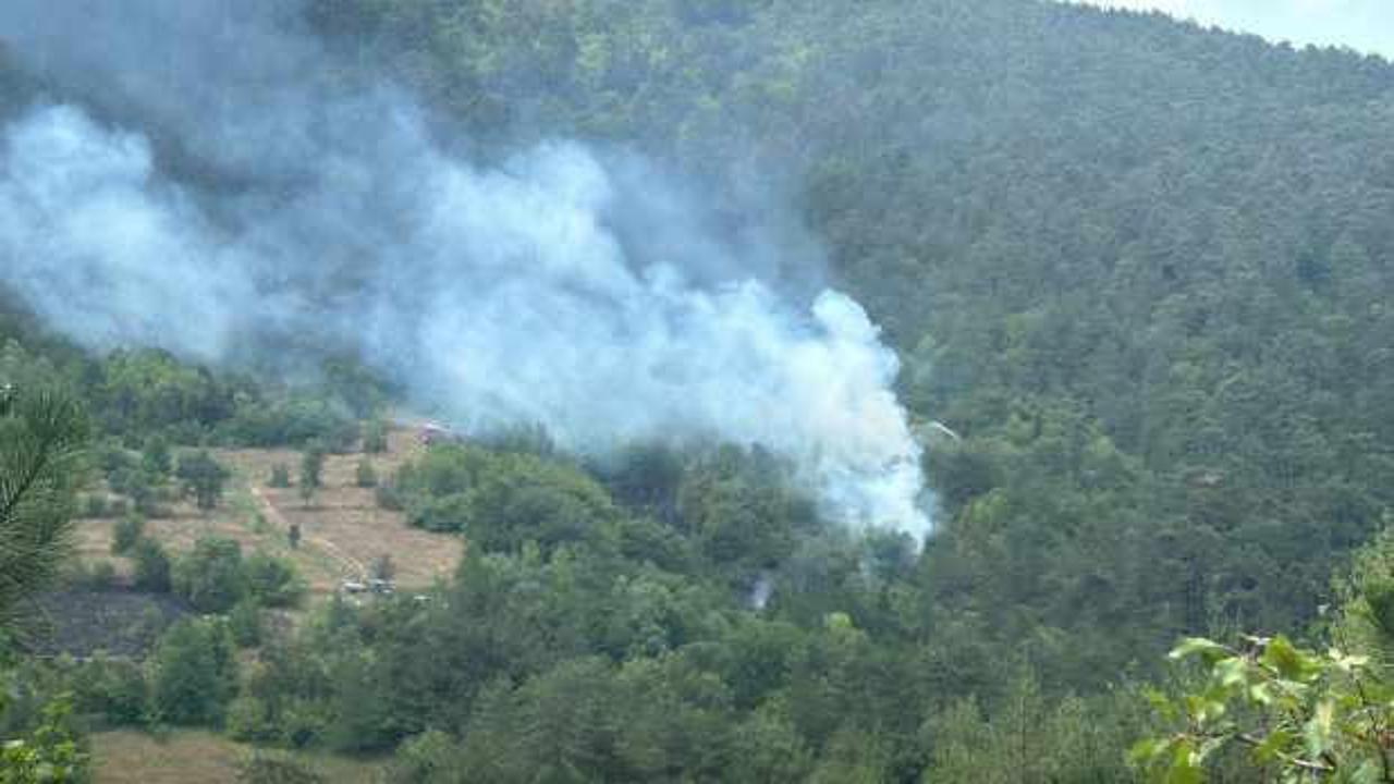 Bolu'da orman yangını: Çok sayıda ekip sevk edildi