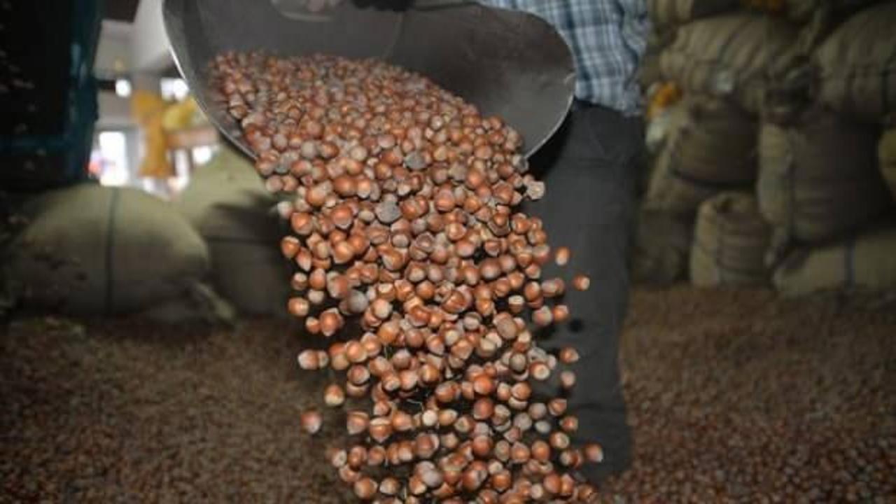 Fındık alım fiyatı belli oldu