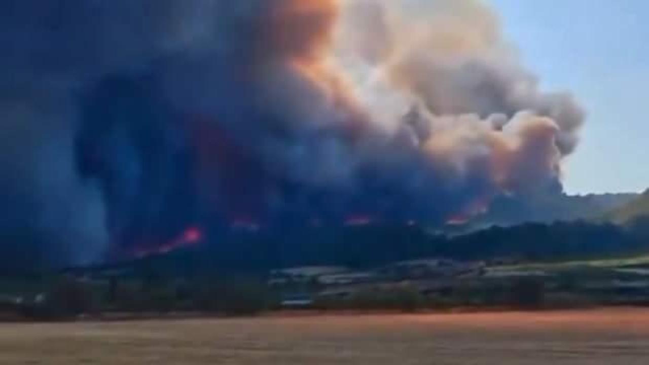 Fransa'da orman yangını! 1 ölü 9 yaralı!