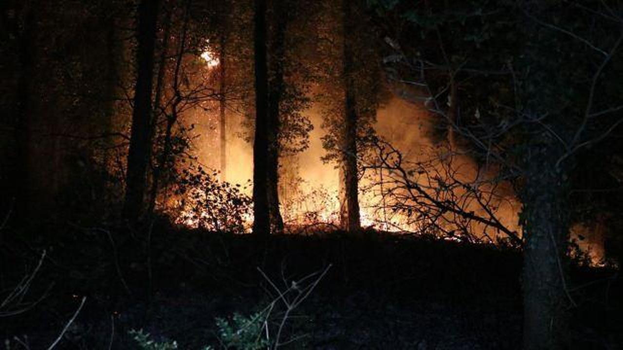 Fransa’daki orman yangınında Paris'ten daha büyük bir alan yok oldu