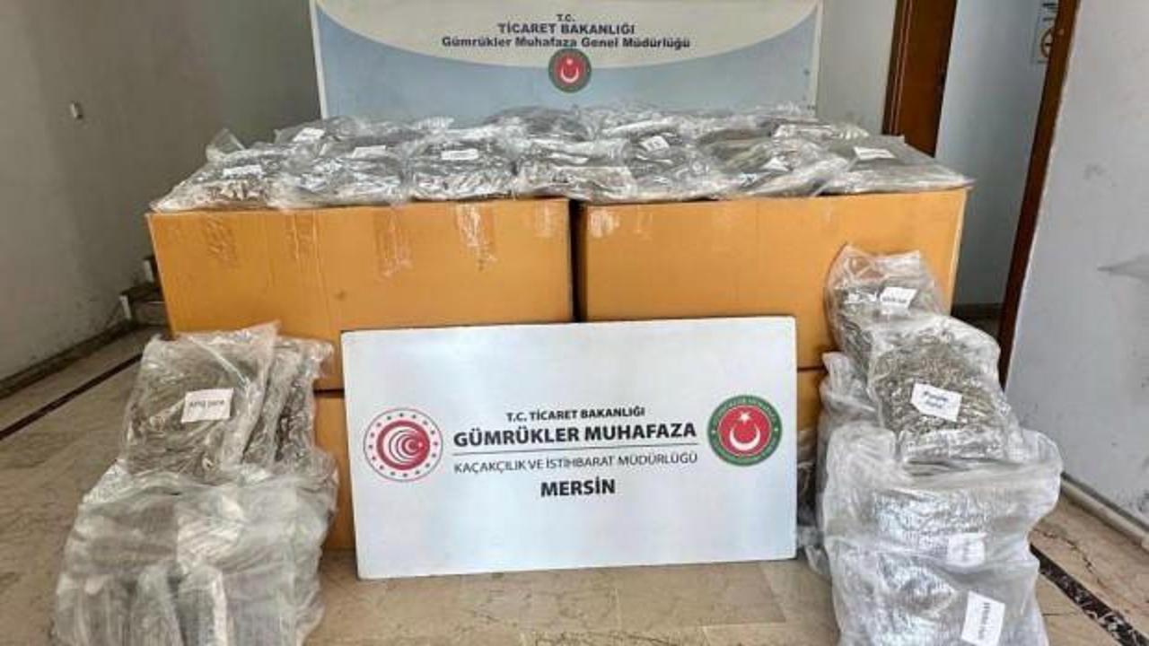 Mersin Limanı'nda konteynerde 587 kilo esrar ele geçirildi