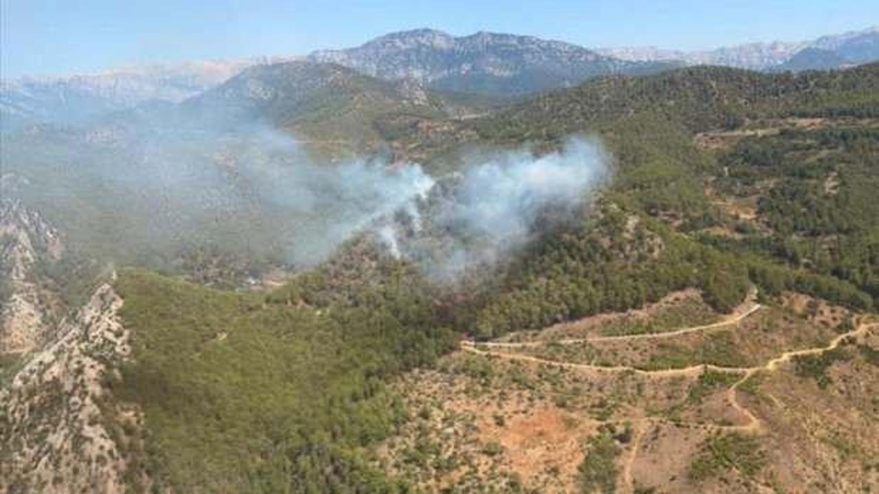 Mersin'de orman yangını