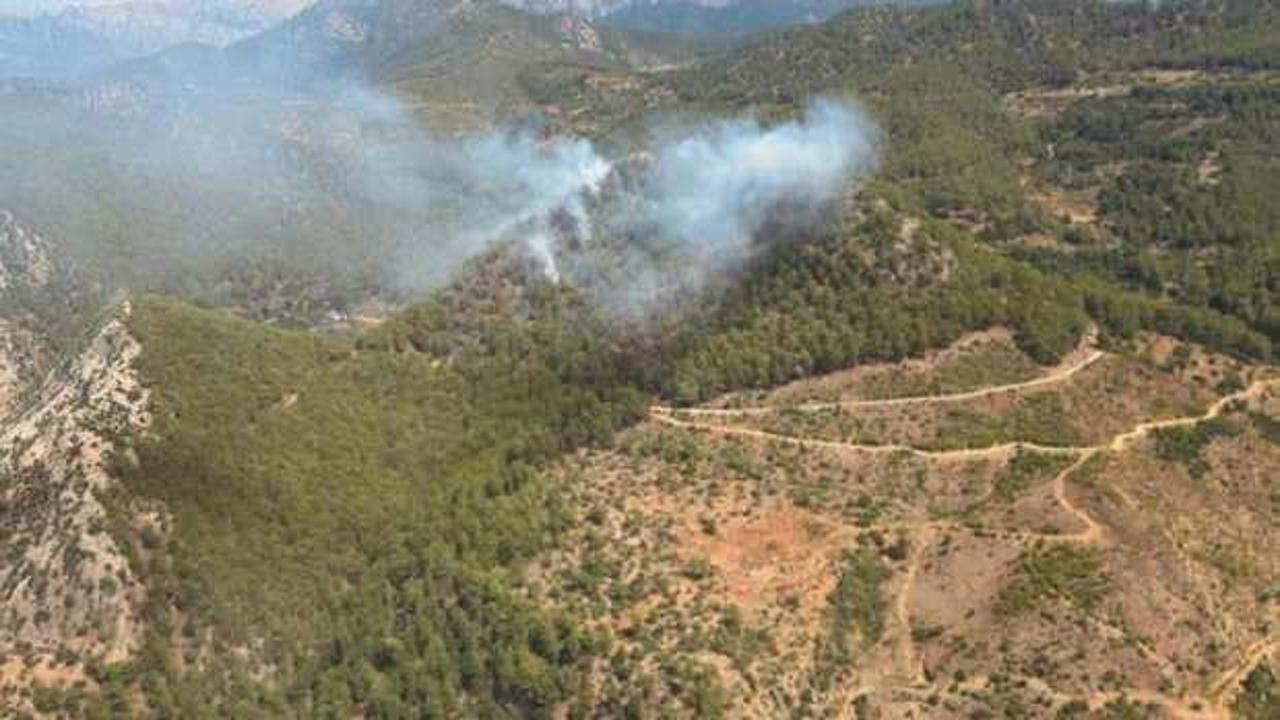 Mersin'de orman yangını başladı