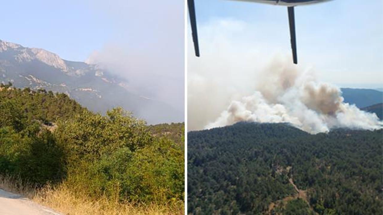 Sinop'ta orman yangını! Köy tahliye edildi