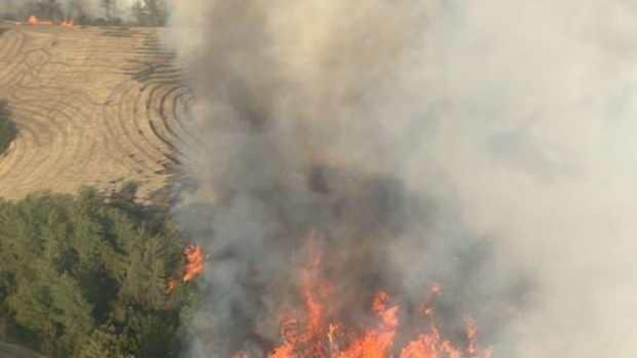 Adana'da orman yangını: 6 helikopter 2 uçak müdahale ediyor!